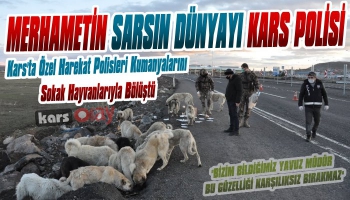 Kars'ta Özel Harekat Polisleri Kumanyalarını Sokak Hayvanlarıyla Bölüştü