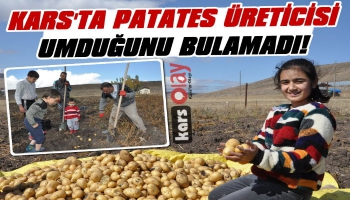 Kars'ta Patates Üreticisi Umduğunu Bulamadı