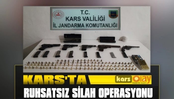 Kars'ta Ruhsatsız Silah Operasyonu