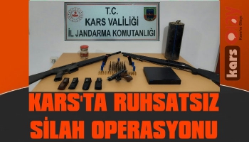 Kars'ta Ruhsatsız Silah Operasyonu