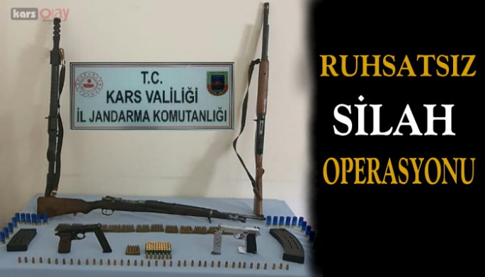 Kars'ta ruhsatsız silah operasyonu