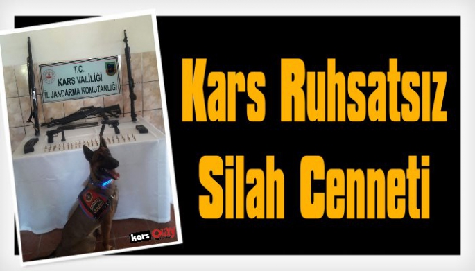 Kars'ta ruhsatsız silah operasyonu