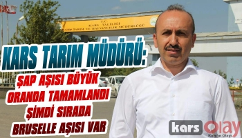 Kars'ta Şap Aşı Kampanyasında Sona Doğru