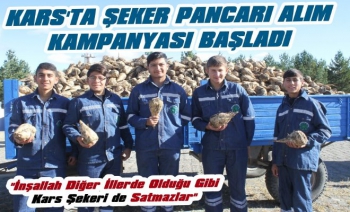 Kars'ta Şeker Pancarı Alım Kampanyası Başladı