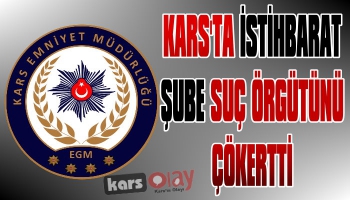 Kars'ta Suç Örgütüne Operasyon