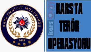 Kars'ta Terör Operasyonu: 1 Gözaltı