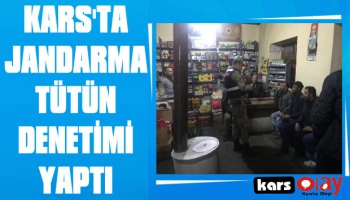 Kars’ta Umuma Açık Yerlerde Tütün Denetimi