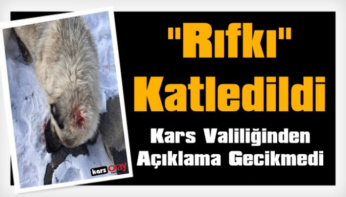 Kars'ta Vahşet Rıfkı Katledildi, Kars Valiliğinden Açıklama Gecikmedi