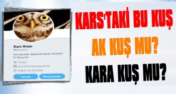 Kars’taki Bu Kuş AK Kuş mu? Kara Kuş mu?  