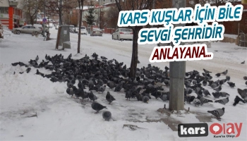 Kars'tan Kar Manzaraları