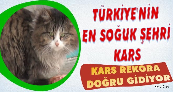 Kars Türkiye'nin En Soğuk Şehri!