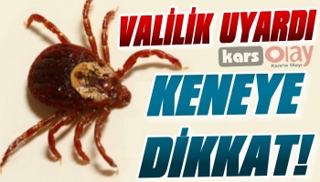 Kars Valiliği'nden Kene Uyarısı