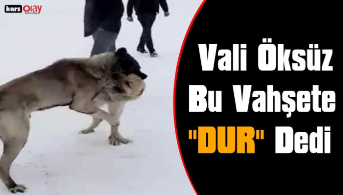 Kars Valisi Türker Öksüz Vahşete Dur Dedi