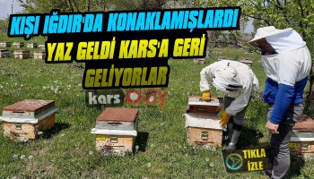 Karslı Arıcıların Iğdır Dönüşü Başlıyor