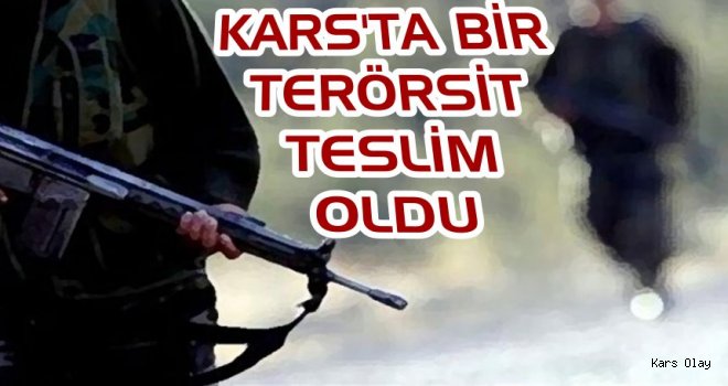 Kars'ta 1 Terörist Teslim Oldu