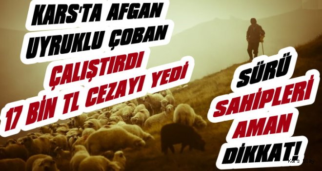 Kars'ta Afganlıları Çalıştırdılar Cezayı Yediler