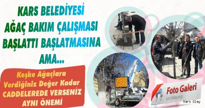 Kars'ta Ağaç Bakımlarına Başlandı Başlanmasına Ama...