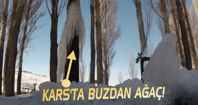 Kars'ta Ağaçlar da Buz Tuttu