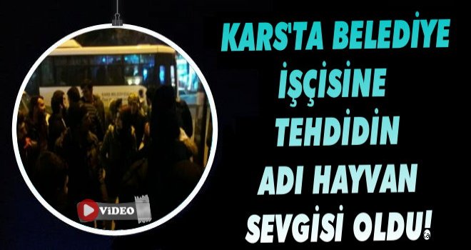 Kars’ta Belediye İşçisine Tehdidin Adı Hayvan Sevgisi Oldu