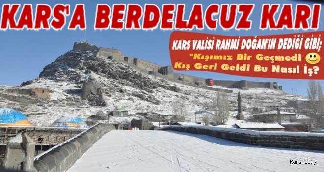 Kars'ta Berdelacuz Karı