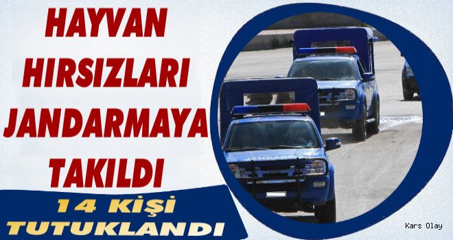 Kars'ta Hayvan Hırsızlığı: 14 Kişi tutuklandı