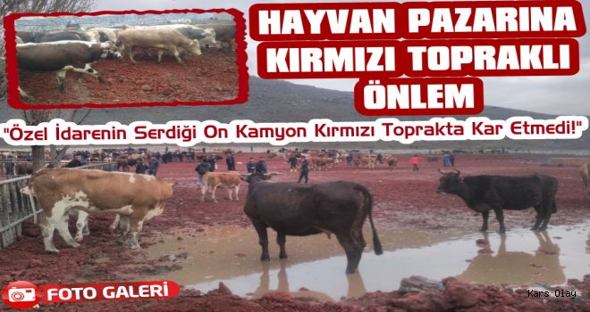 Kars’ta Hayvan Pazarına Kırmızı Toprak