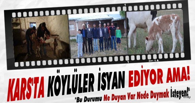 Kars'ta Hırsızlar Köylüleri İsyan Ettirdi!