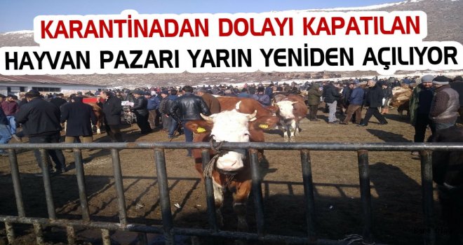 Kars'ta Karantinaya Alınan Hayvan Pazarı Yeniden Açılıyor