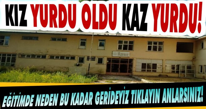 Kars'ta KIZ yurdu oldu KAZ yurdu!