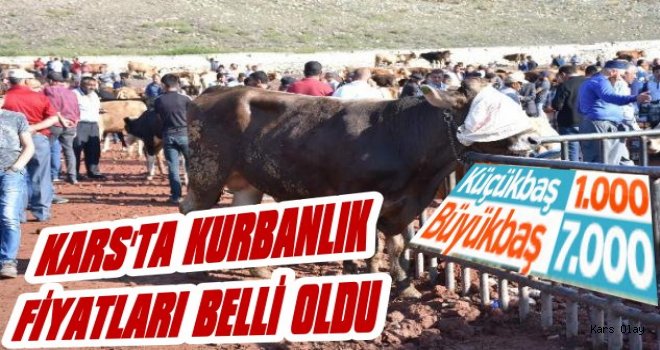 Kars'ta Kurbanlık Fiyatları Belli Oldu