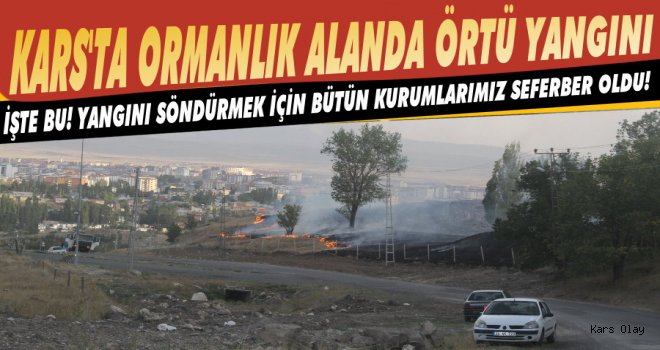 Kars'ta Ormanlık Alanda Örtü Yangını