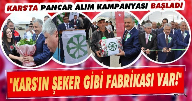 Kars'ta Pancar Alım Kampanyası Başladı