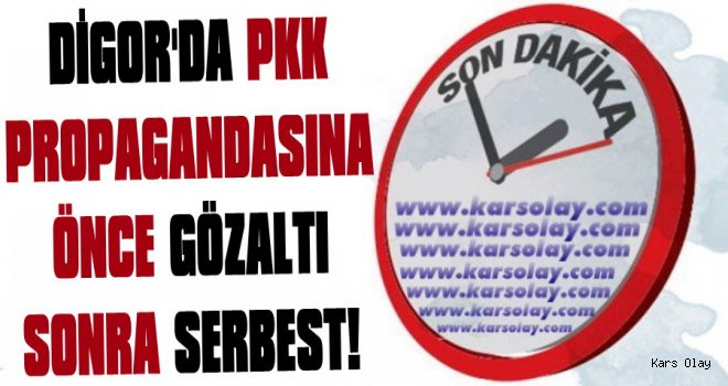 Kars'ta PKK Propagandasına Önce Gözaltı Sonra Serbest!