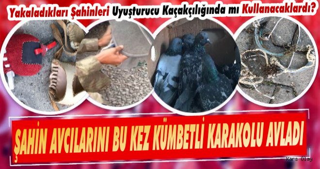 Kars'ta Şahin Avcılarını Kümbetli Karakolu Avladı!