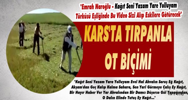 Kars'ta Tırpanla Ot Biçimini İzleyin