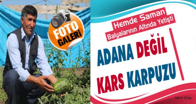 Kim Demiş Kars'ta Karpuz Yetişmez Diye?