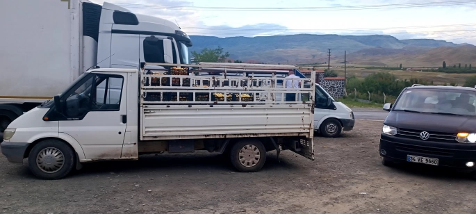 Komisyoncular kayısı üreticisini mağdur ediyor