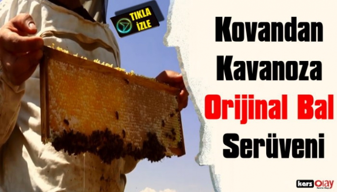 Kars'ta Kovandan Kavanoza Orijinal  Bal Süreci