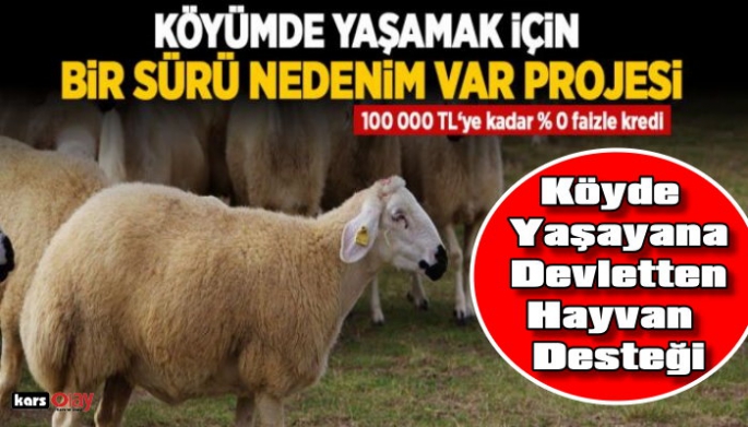 Köyümde Yaşamak İçin Bir SÜRÜ Nedenim Var” Projesi  Kars'ta da İmzalandı!