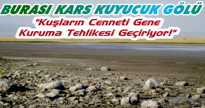 Kuşların Cenneti Yine Kuruma Tehlikesi Geçiriyor!