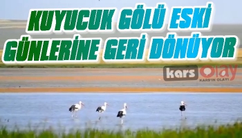 Kuyucuk Gölü Eski Günlerine Dönüyor