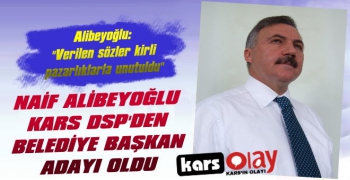 Naif Alibeyoğlu DSP'den Aday Oldu
