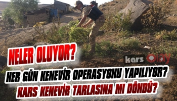 Neler Oluyor? Kars Kenevir Tarlasına mı Döndü!