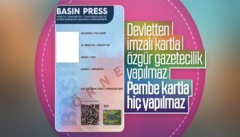 Pembe-mavi renkli basın kartları