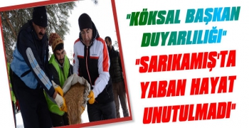 Sarıkamış Belediyesinden Yaban Hayat Duyarlılığı