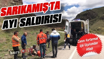 Sarıkamış'ta Ayı Saldırısı: 1 Kişi Ağır Yaralı