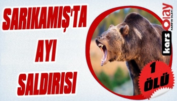 Sarıkamış'ta Ayı Saldırısı: 1 Ölü