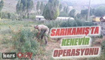 Sarıkamış'ta Kenevir Operasyonu