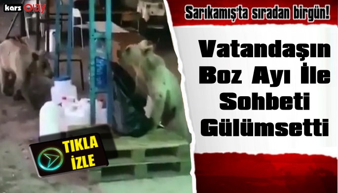 Sarıkamış'ta, Vatandaşın Boz Ayı İle Sohbeti Güldürdü