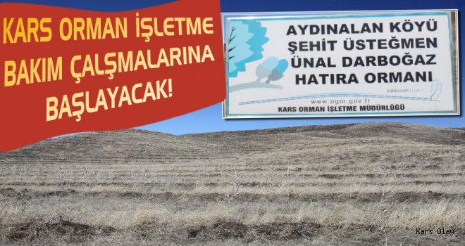 Şehit Anısına Kurulan Orman Yüzde Otuz Fire Verdi